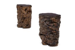 TWO CAMPHOR WOOD ROOT SECTIONS