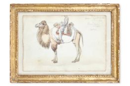 WILLIAM SIMPSON (BRITISH 1823-1899), GENERAL WYNDHAM'S CAMEL