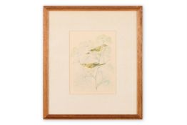 λ MILDRED E. ELDRIDGE (BRITISH 1909-1991) WILLOW WARBLERS ON FENNEL