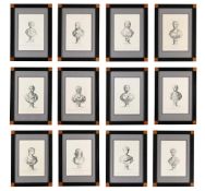 AFTER ANTONIO MARIA ZANETTI, TWELVE PRINTS OF BUSTS (12)