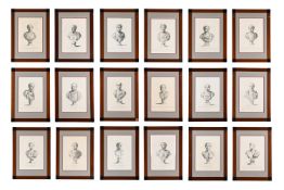 AFTER ANTONIO MARIA ZANETTI, A SET OF EIGHTEEN PRINTS OF BUSTS OF EMPERORS (18)