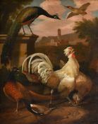 CIRCLE OF MELCHIOR DE HONDECOETER (DUTCH 1636-1695), BARNYARD FOWL