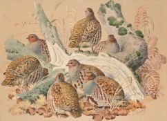 λ CHARLES FREDERICK TUNNICLIFFE (BRITISH 1901-1978), A COVEY OF PATRIDGES, WITH A BOOK (2)
