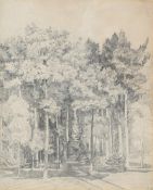 JOHN SELL COTMAN (BRITISH 1782-1842), STUDY OF TREES