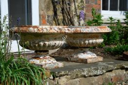 A PAIR OF LATE VICTORIAN CAST IRON PLANTERS, LATE 19TH CENTURY