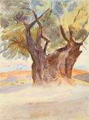 EMILY SARGENT (AMERICAN 1857-1936), A TREE, NEAR BETHLEHEM