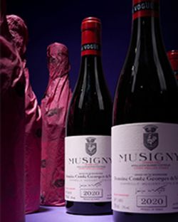 Fine Wine, Champagne, Vintage Port and Spirits: A Burgundy Collection for Cellaring and Celebration