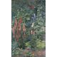 LOUISE RAEMAEKERS (DUTCH 1869-1956) SUMMER FLOWERS, SNAPDRAGONS AND LUPINS - Image 2 of 3