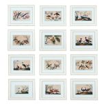 A GROUP OF TWELVE CHINESE PITH PAPER PAINTINGS OF BIRDS, 19TH CENTURY