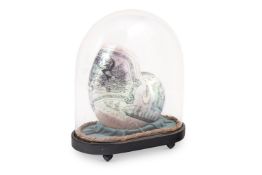 Y A LARGE SCRIMSHAW WORKED NAUTILUS SHELL BY CHARLES H. WOOD