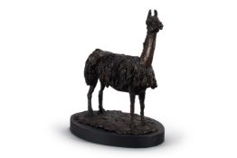λ ELIZABETH MACDONALD-BUCHANAN (1939-2020), A BRONZE FIGURE OF A LLAMA