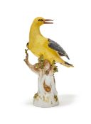 A MEISSEN MODEL OF A GOLDEN ORIOLE, BLUE CROSSED SWORDS MARK, LATE 19TH CENTURY