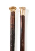 Y TWO 9 CARAT GOLD MOUNTED PACE STICKS