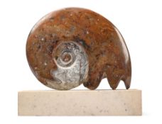 A LARGE FOSSILISED AMMONITE (AMMONOIDEA), CRETACEOUS PERIOD (245-65 MILLION YEARS)