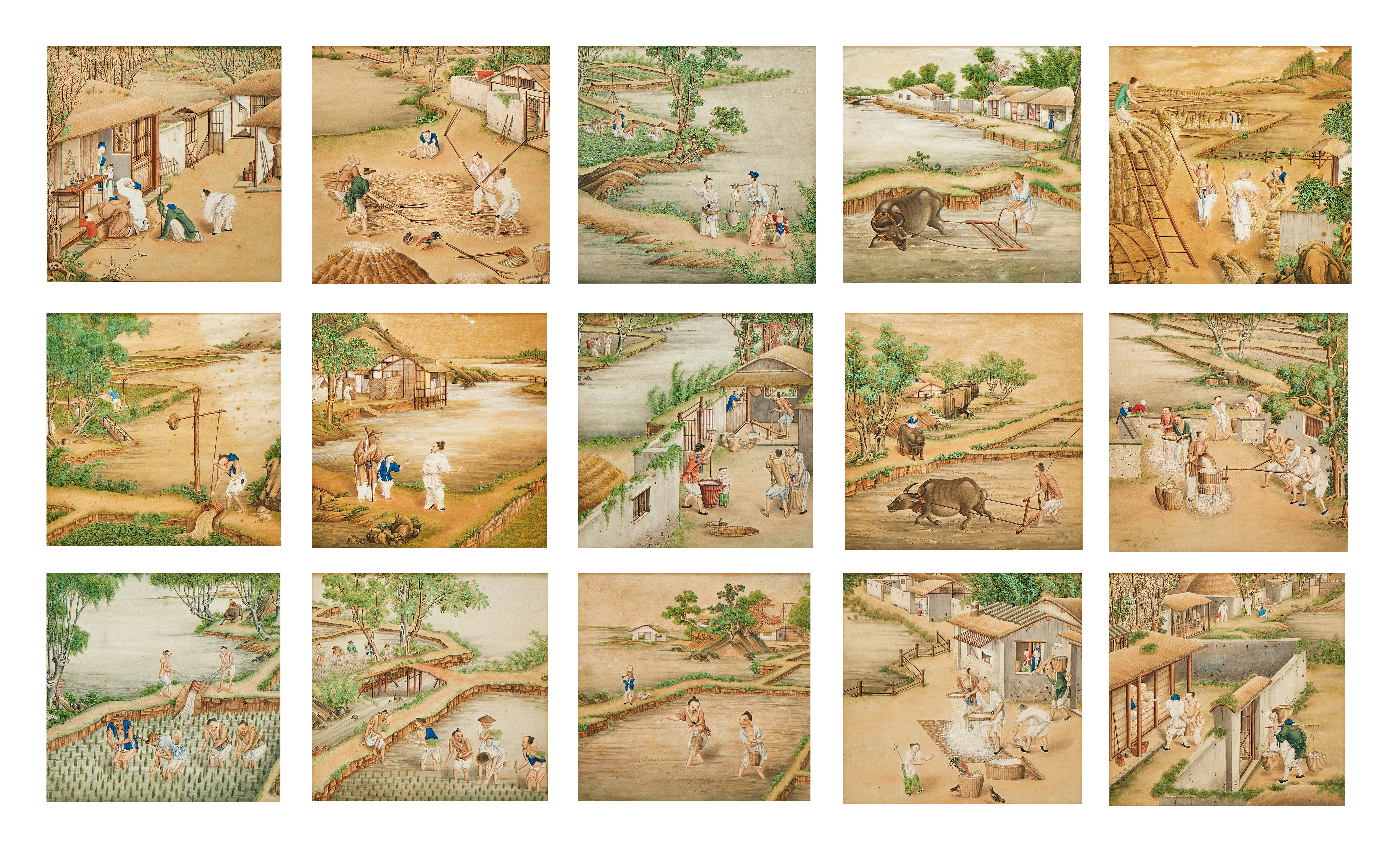 Fifteen Chinese paintings illustrating stages in the production of rice, Qing dynasty