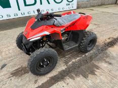 New Skytron Cub 110cc Petrol Quad Bike, Liquid Cool, Led Lighting Pack, Auto, Forward & Reverse