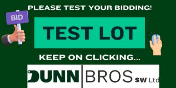 TEST LOT - PLEASE TEST YOUR BIDDING