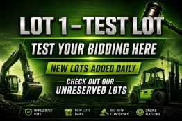TEST LOT - PLEASE TEST YOUR BIDDING