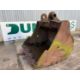 6Ft Rock Bucket On 120MM Pins To Suit 30-50T Excavator - Image 1 of 8