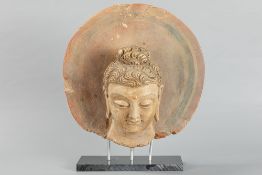 1st until 3rd Cent. Ancient Gandhara fragment of a large "Head of Buddha with halo" sculpture in stu