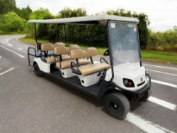 CUSHMAN EZGO BUGGY (KAWASAKI 350 PETROL)