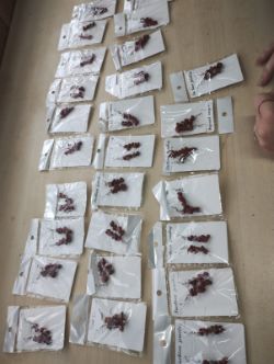 RED JASPER CRYSTAL CHIP SS HANGING EARRING SETS - JOBLOT OF 27- BRAND NEW