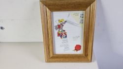 29 PC FRAME