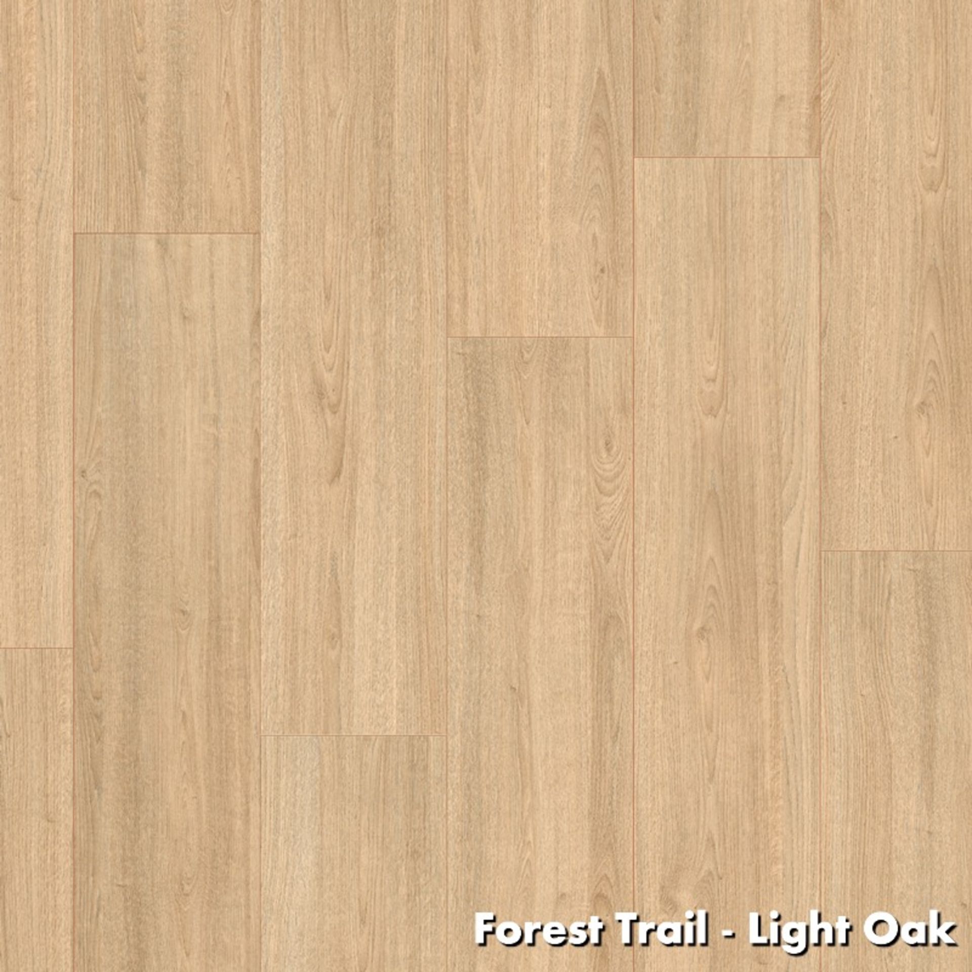 52 X PACKS (129M2) EGGER LIGHT OAK LAMINATE FLOORING 2.49M2/PACK RRP £2,300 - Image 2 of 2