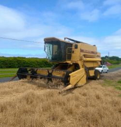 NEW HOLLAND TX32 COMBINE