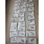 JADE CRYSTAL CHIP SS HANGING EARRING SETS - JOBLOT OF 29- BRAND NEW