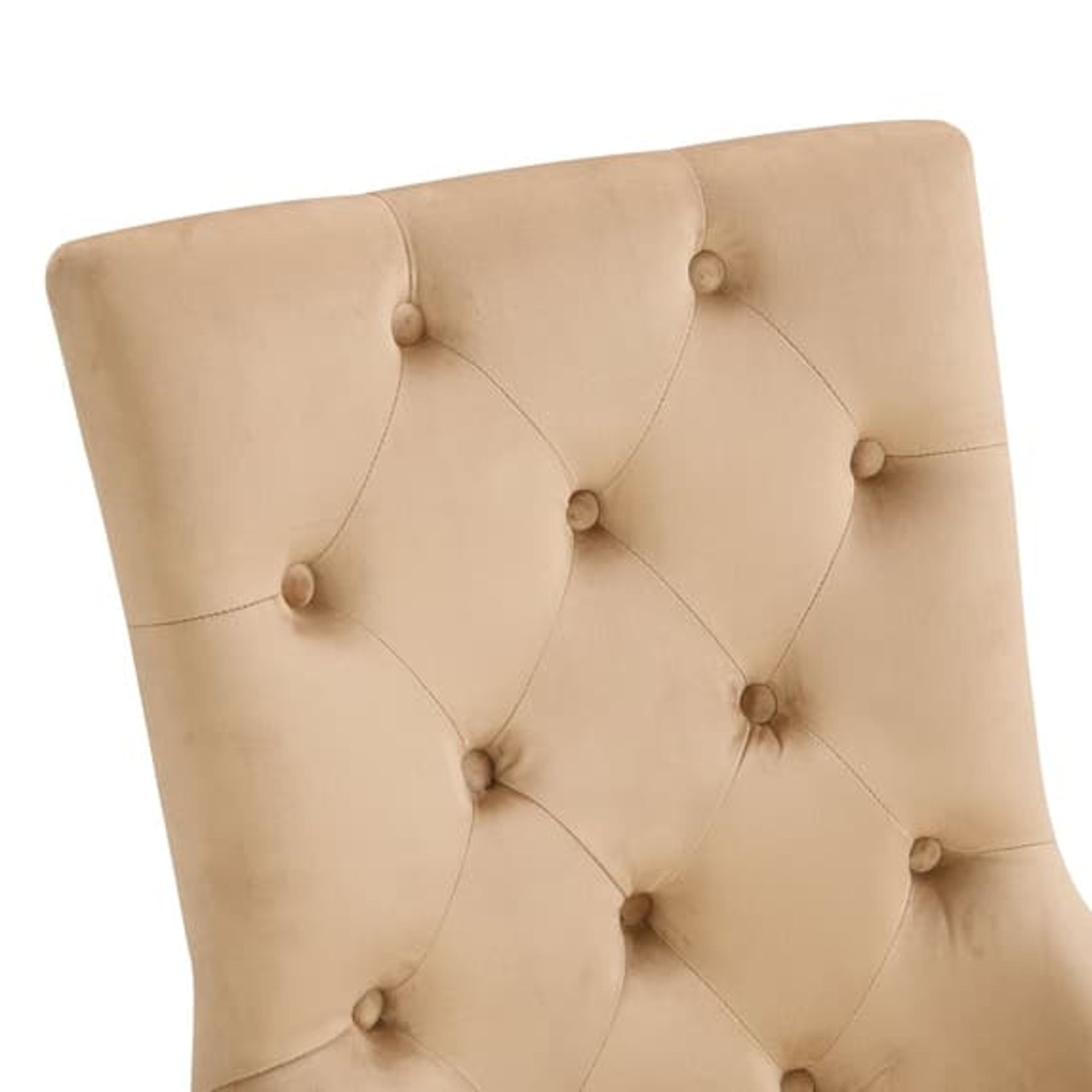 VELVET BUTTON BACK DINING CHAIR - IMPERIAL - Image 8 of 11
