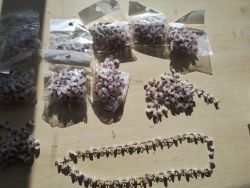 ROSE QUARTZ CRYSTAL CHIP SS + GOLD TONE LINK NECKLACE JOBLOT OF 10 - BRAND NEW