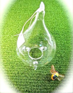 94 X GLASS BLOWN WASP CATCHER (24)