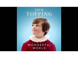 960 X DISPOSABLE BREATHALYSER -OUT OF CODE (320)