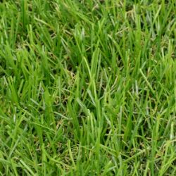 FULL ROLL 25M X 5M (125M2) 30MM ARTIFICIAL GRASS - RRP £2,500