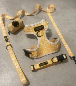 JOBLOT OF 115 X SETS OF BRAND NEW DOG LEADS, HARNESS, COLOUR AND POOP BAG HOLDER