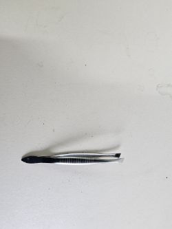 STAINLESS STEEL SLANT TIP TWEEZERS – PRECISION GRIP, BULK LOT OF 185