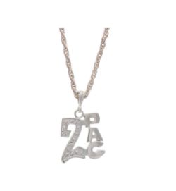 24 X 2PAC PENDANT NECKLACE SILVER (12/72)