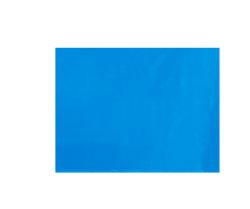 250 X BLUE POLYTHENE BAGS (250)