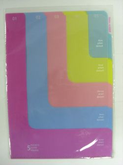 240 X 5 POCKET A4 CLEAR FOLDER (336)