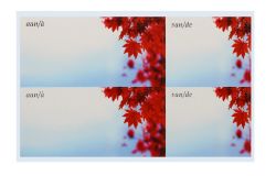 750 X ENVELOPE LABELS - (250) *NBC*