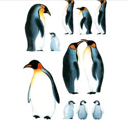 300 X WALL DECO TATTOO- PENGUIN (15)