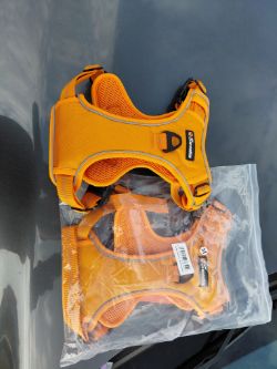 PET SHOP STOCK DOG HARNESS COLLAR EYE CARE AND TOYS