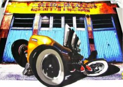 400 X FLATHEAD FLYER POSTER (40)