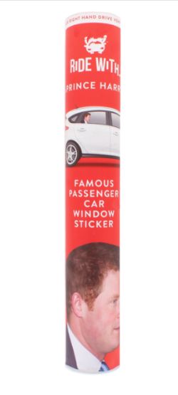 24 X RIDE WITH PRINCE HARRY (24)