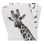 180 X A3 POSTER FRAME 29.7X42CM DISPLAY BOX ASST (0/36)