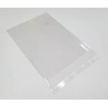4000 X PLASTIC SMALL BAGS