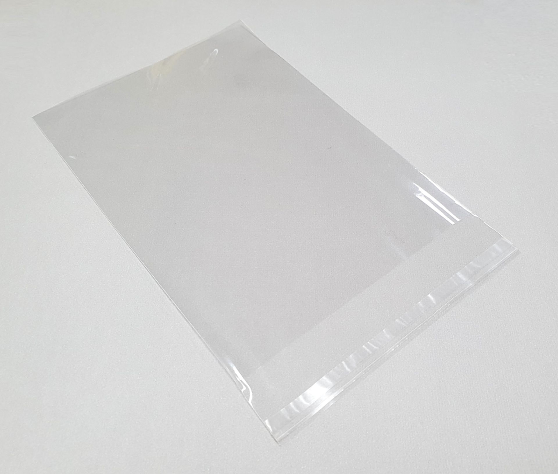 4000 X PLASTIC SMALL BAGS