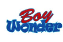 192 X 3D 12" 'BOY WONDER' FOAM SIGN