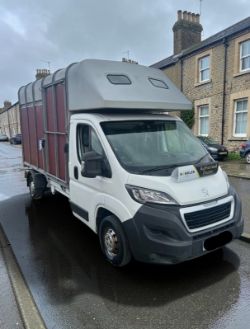 2014 PEUGEOT BOXER 335 L3 HDI HORSE BOX